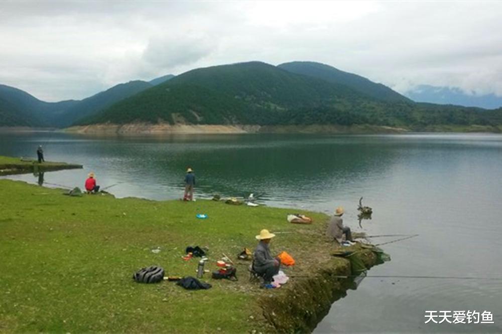 鲫鱼|夏季钓鱼4“要”原则，学会这些“黄金法则”，天热也能钓几波