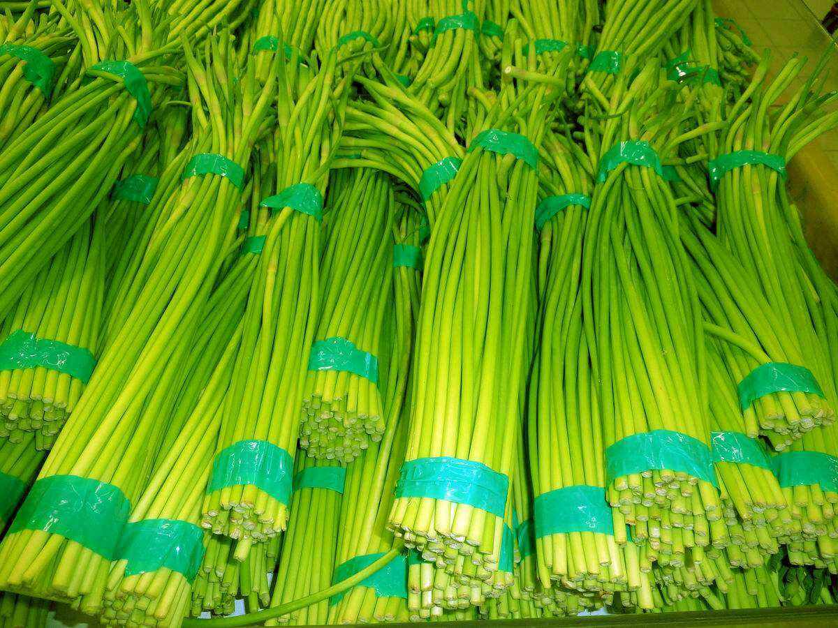 蒜苔|买蒜苔，“绿头”和“红头”要分清，区别真大，弄懂以后别乱买了