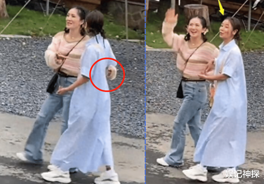 林心如和谢娜同框惹争议！状态差被嘲像母女，林心如被疑怀二胎