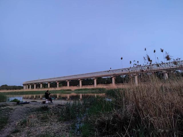 钓鱼|钓鱼日记——2023年4月25日(沙河南北岸夜钓)