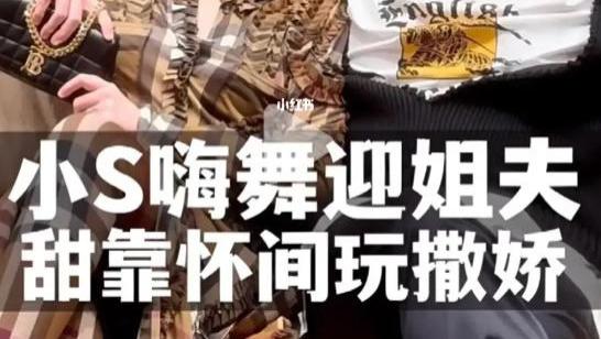 许雅钧为众多秘密知情人，晕倒偏瘫进ICU，小S表情诡异和姐夫赴韩