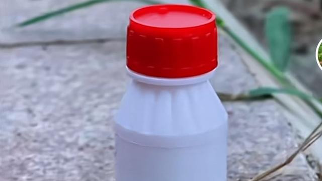 钓鱼|啥年代了还有人毒鱼？四川两男子往河里倒憋虾灵，辩称是为了钓鱼