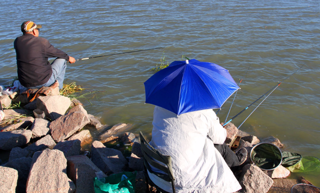 主线和子线如何搭配?错了就可能导致切线跑鱼