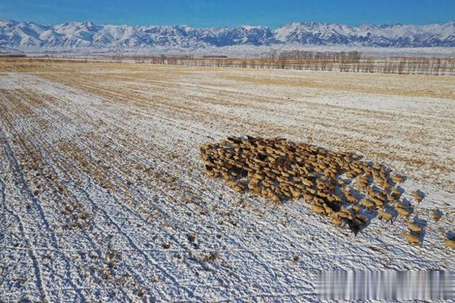如何才能实现自由掌控精关呢？