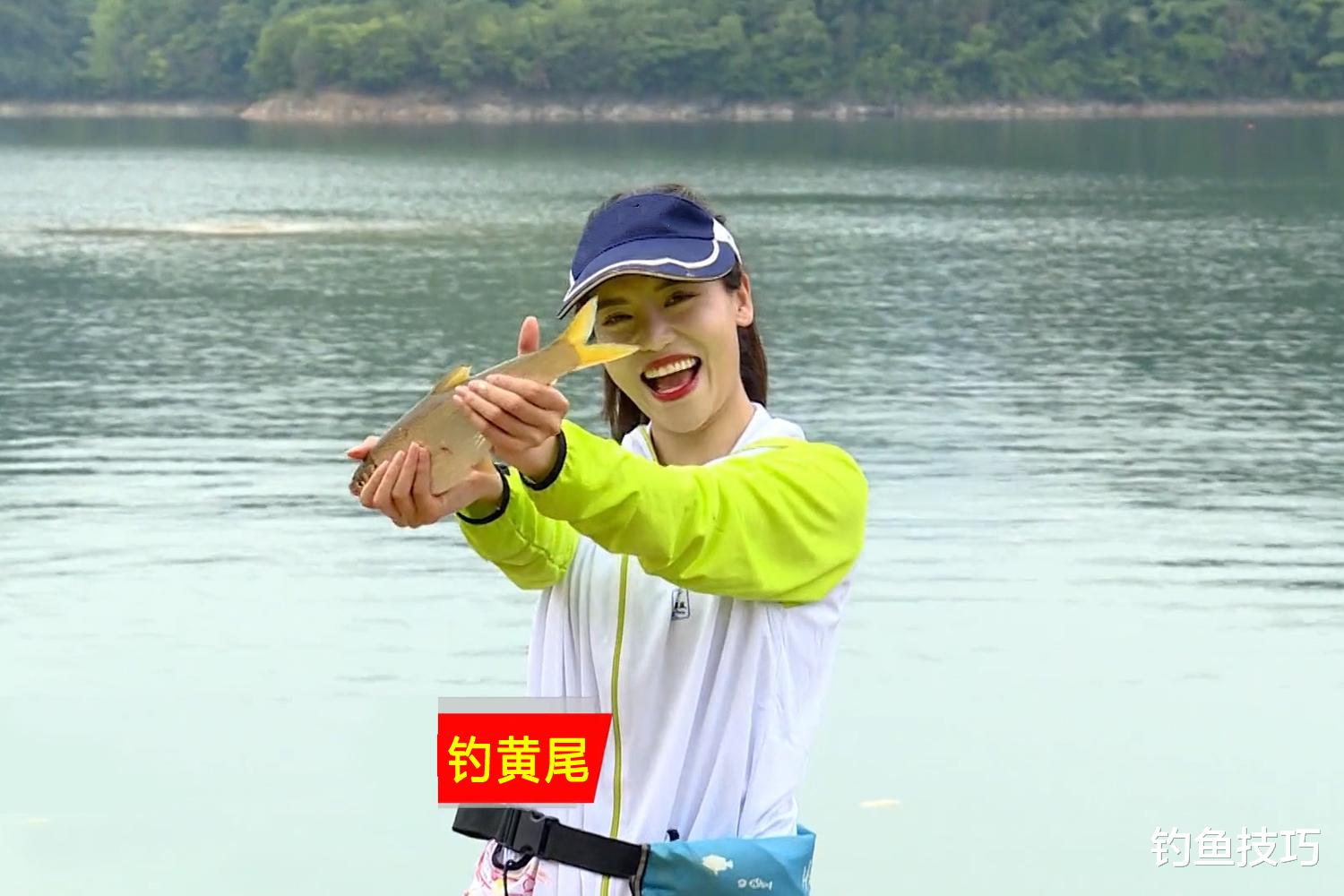 钓鱼技巧|钓黄尾鱼用什么窝料和钓饵?钓黄尾鱼的用饵技巧