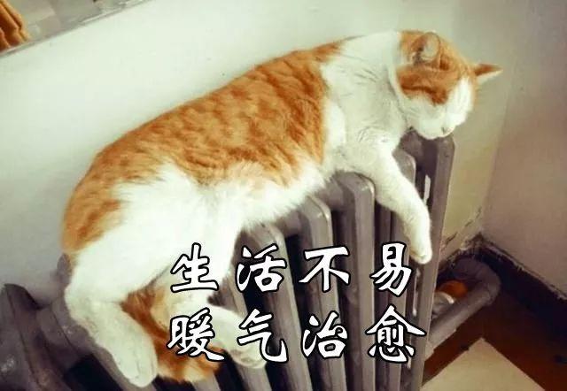 供暖|就想问，北方的暖气管子到底有多少迷惑操作？