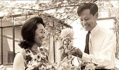 别替翁帆惋惜了!撇下杨振宁去日本聚餐的她,“聪明”已藏不住了