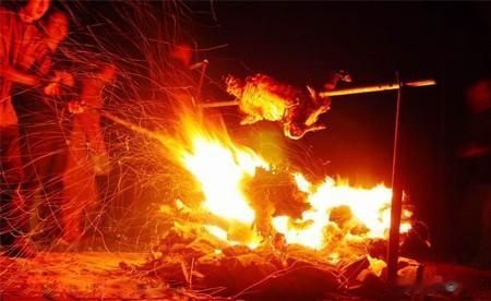 草原|游钓水美鱼肥的草原湖泊,看牛羊成群,钓湖中大鲤鱼