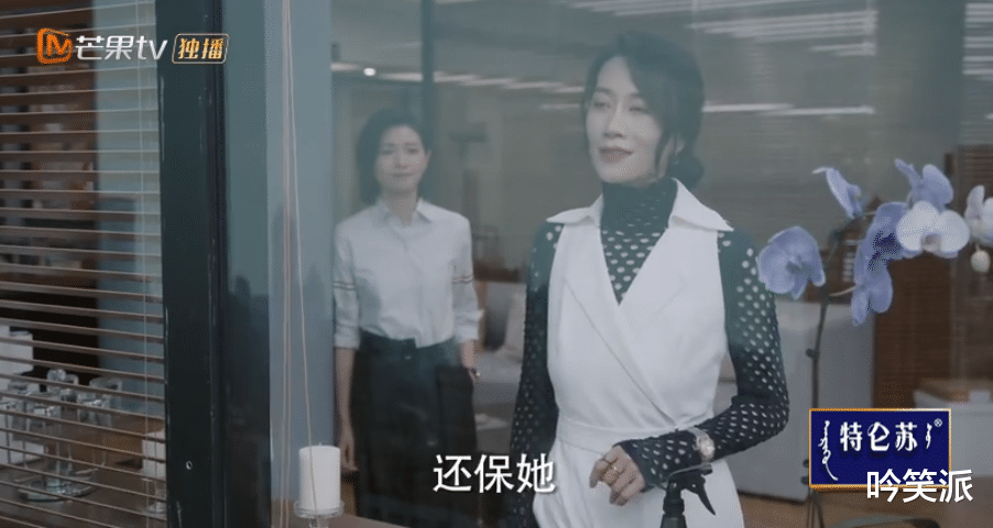 刘敏涛|万茜、刘敏涛《女士的品格》,职场女人永远在做女超人!