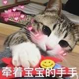 千风情感