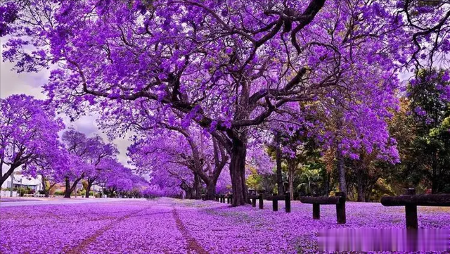 亲情冷暖，丈夫去世，女儿考上大学：她们如何面对家人无耻要求？