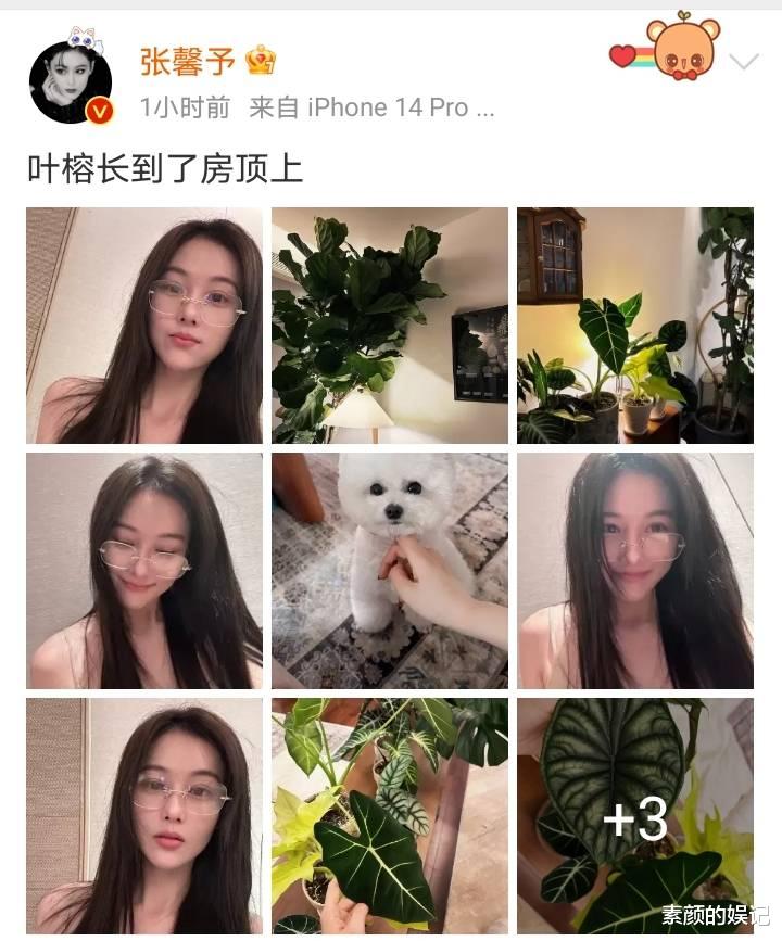 张馨予|张馨予素颜近照像18岁女大学生很清纯,豪宅内好多绿色植物