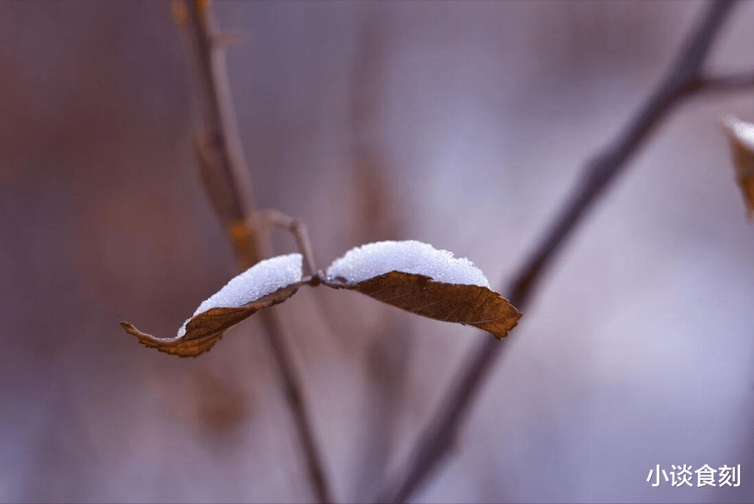 |明日十一月初一,老人说“雨打冬月头,来年起坟头”,是啥意思?