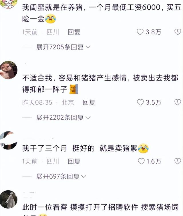 00后|“我找到工作了”，00后社恐女大学生进厂养猪