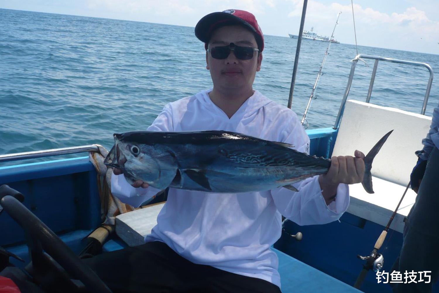 海钓|海鱼开口的3个时间段，海钓一定要抓住这几个窗口期