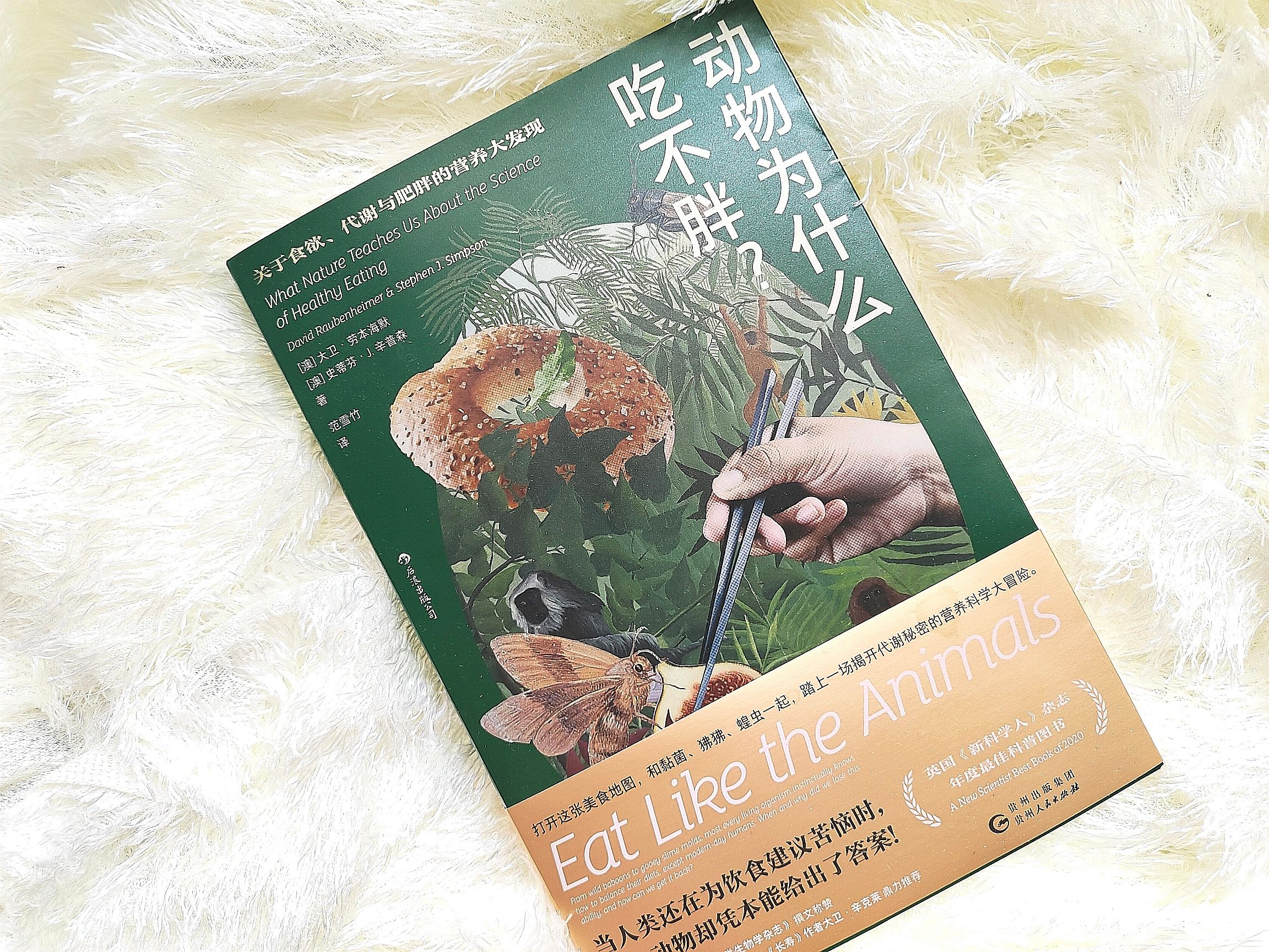 厌食症|《动物为什么吃不胖?》而人那么容易胖?原来是因为这个杠杆原理