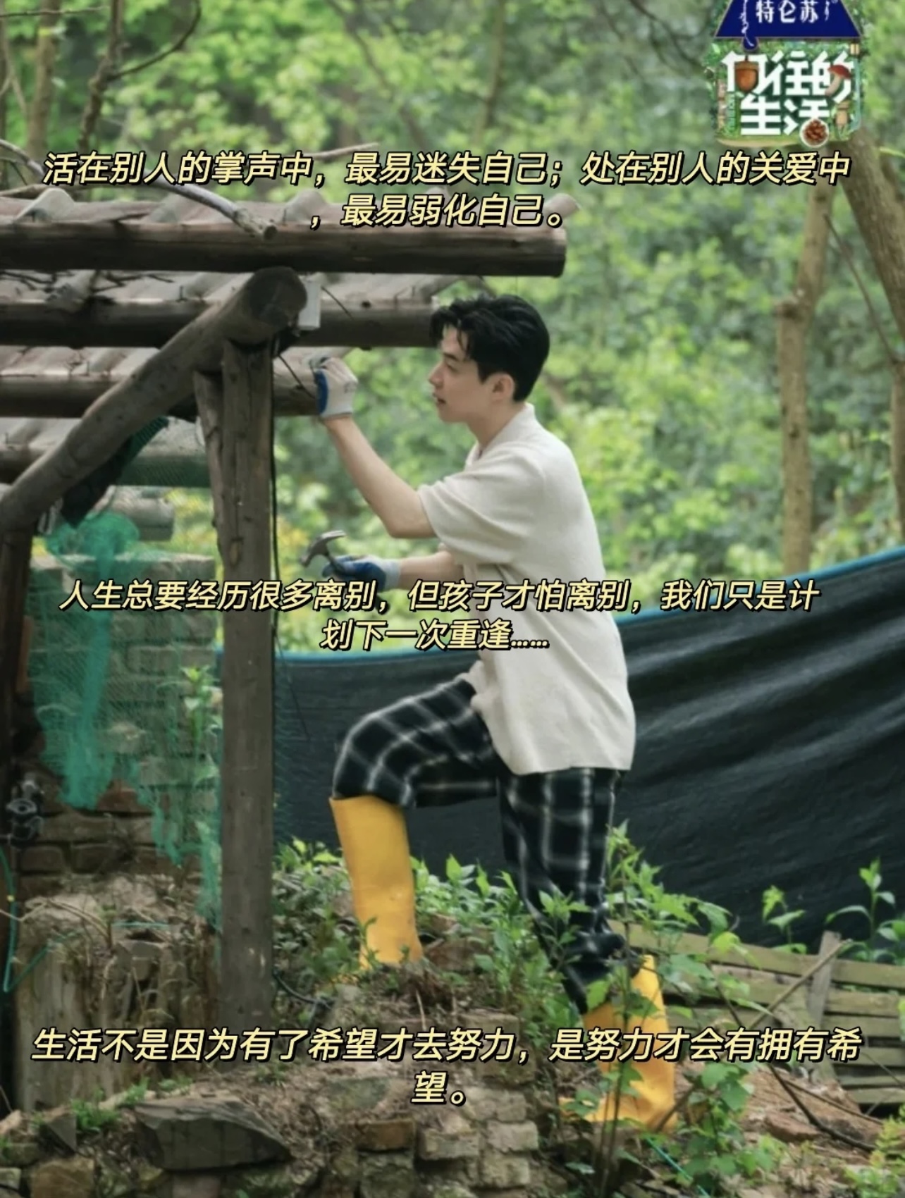 向往的生活|\uD83D\uDC96综艺《向往的生活》中人间清醒的文案