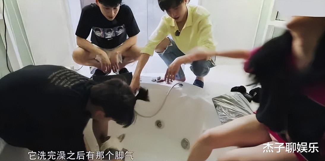 连人民日报都看不下去了,点名批评明星素质低,肖战杨幂接连中招