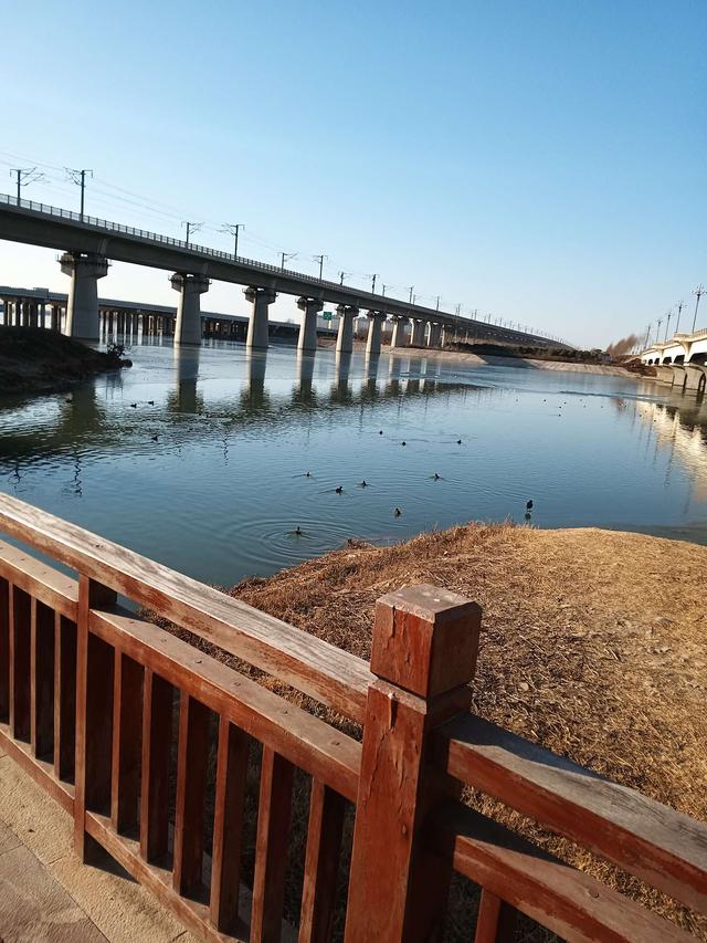钓鱼|天气晴朗心情喜悦，河畔垂纶鲫妹连杆