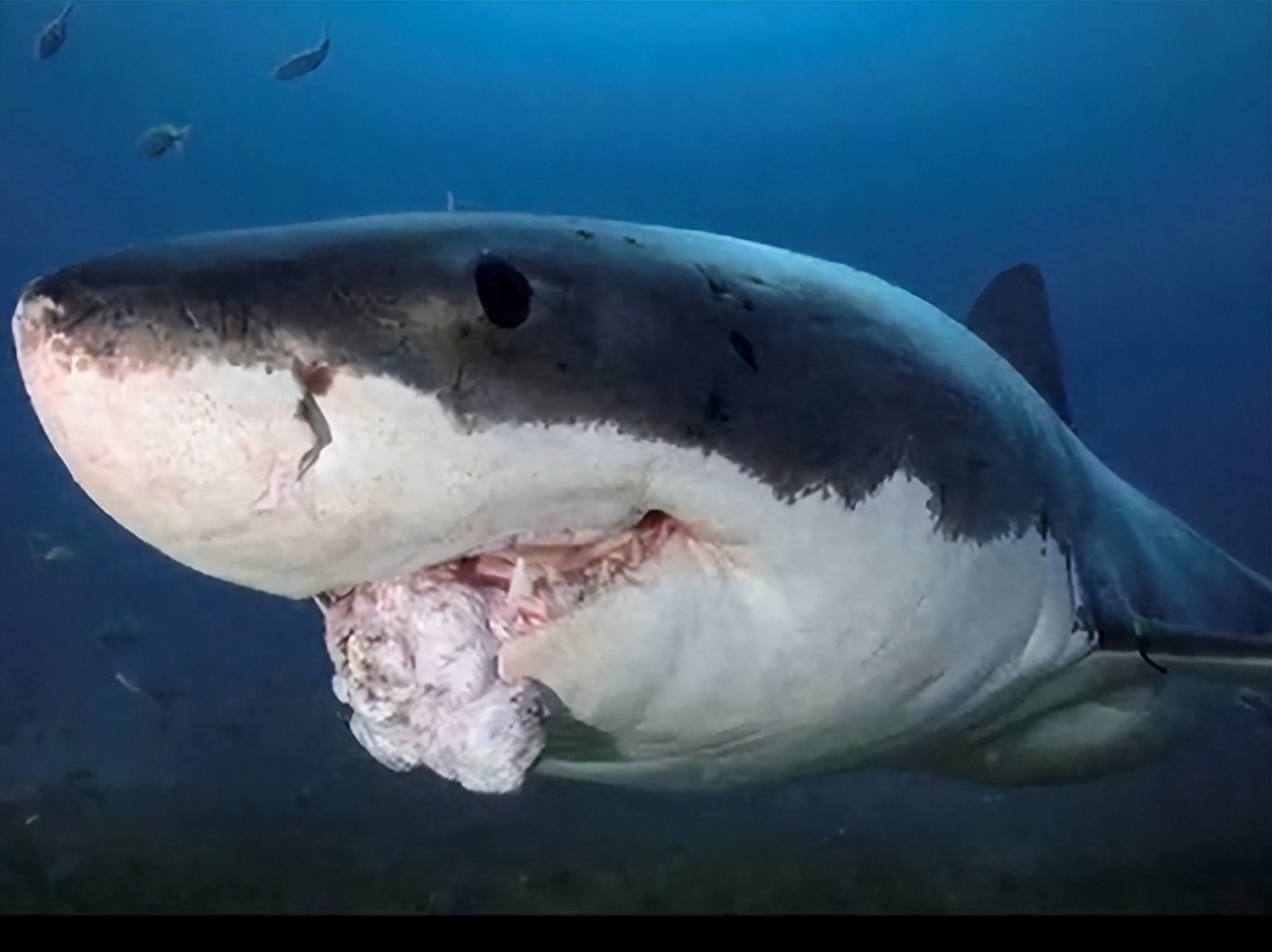 知名演员何家劲深夜发文:“人神共愤!自有天收!”评论区沦陷!