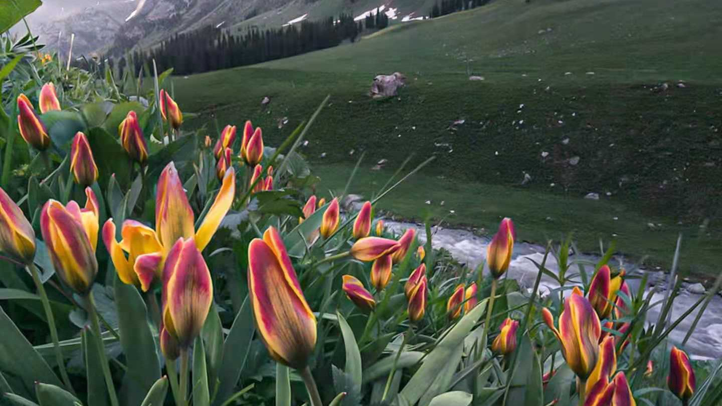 教师|学校教师那么多为什么还闹教师慌呢？原来里面是有乾坤的