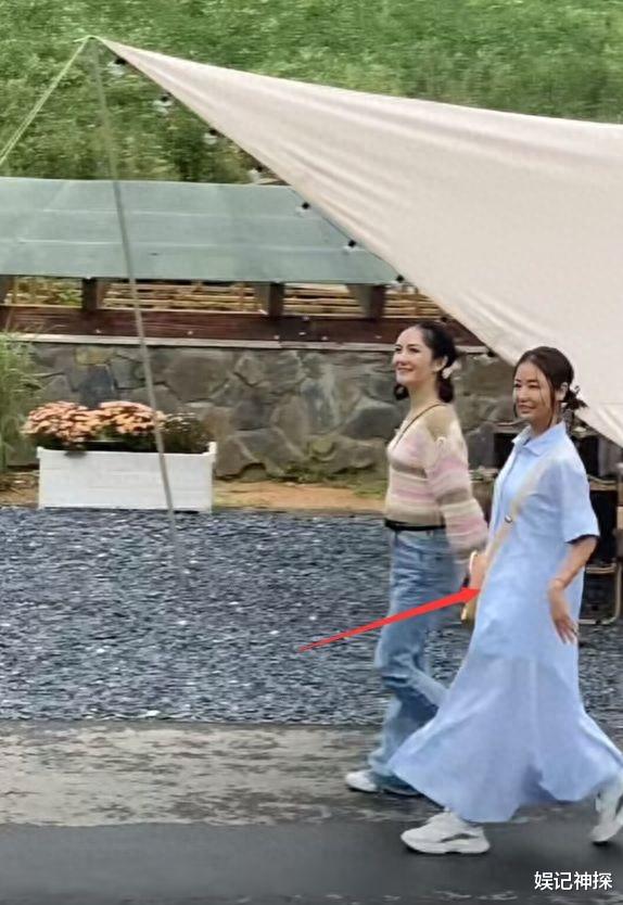 林心如和谢娜同框惹争议！状态差被嘲像母女，林心如被疑怀二胎