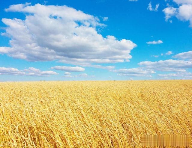 中年之后，运动和不运动的人，过得是截然不同的人生