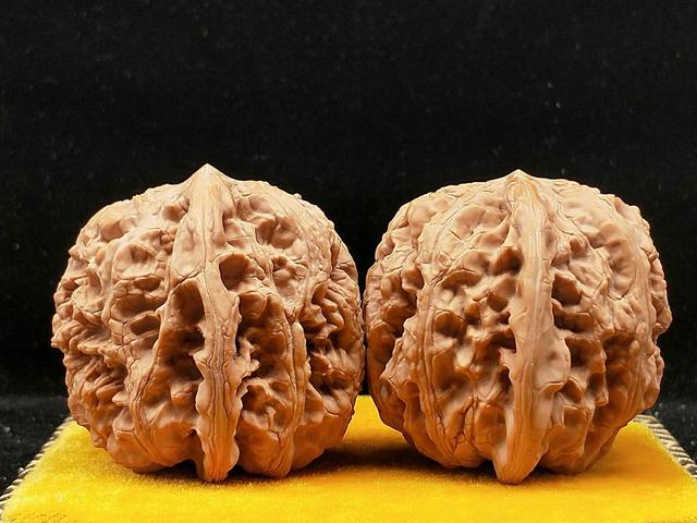 宝石|文玩核桃之将军膀狮子头到底好不好？