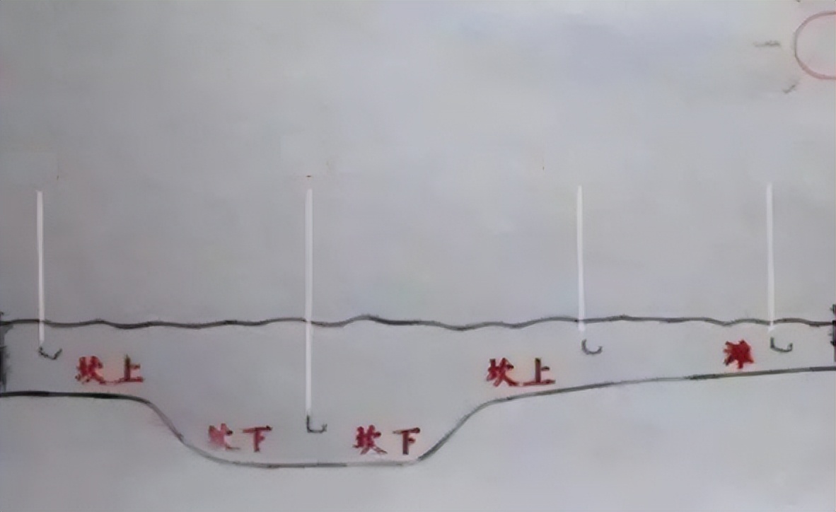 |都知道深浅水交界处鱼好钓，在夏季钓交界处的深水还是浅水？