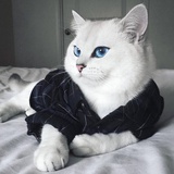 语柔美食
