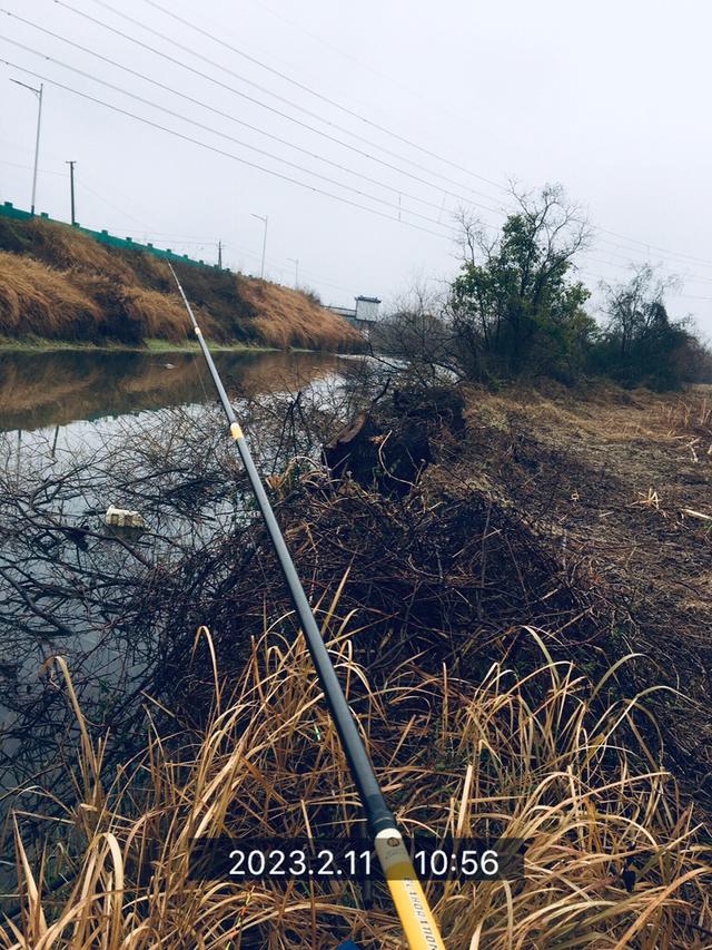 钓鱼|走在通往春天的路上，愿鲫鲤一路随行！