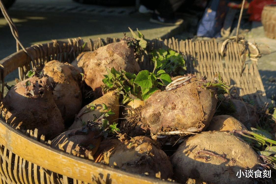 红薯|“红薯五不吃,吃了秋难安”,喜欢吃红薯的要留意,别不当回事