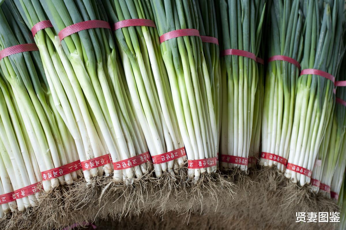 美食教程|感冒最怕这个菜，坚持每天吃一点，杀菌消炎防感冒，别不懂吃