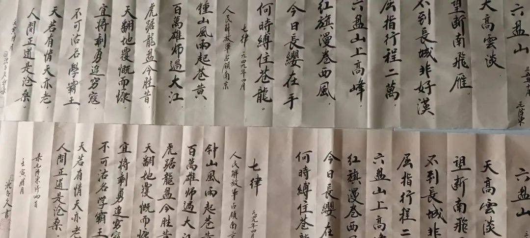 粉彩|启航2023｜最具收藏价值及升值潜力书画家 沈召久