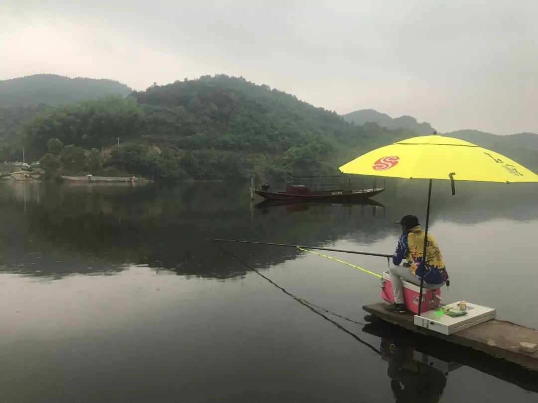 |盘点钓鱼中浮漂出现的8个假信号,提竿不中鱼,有些还很常见