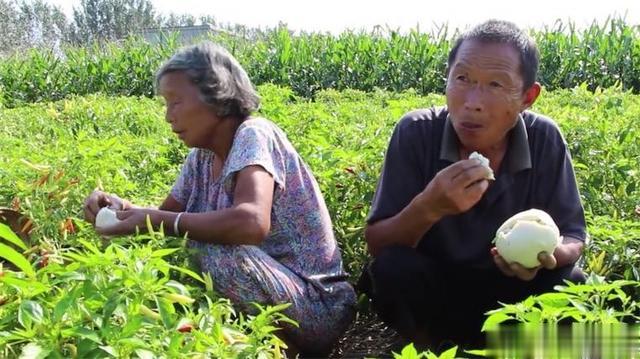 刀豆|這種蔬菜有毒，農(nóng)村卻常拿它來做家常菜和腌菜，而如今為何消失？