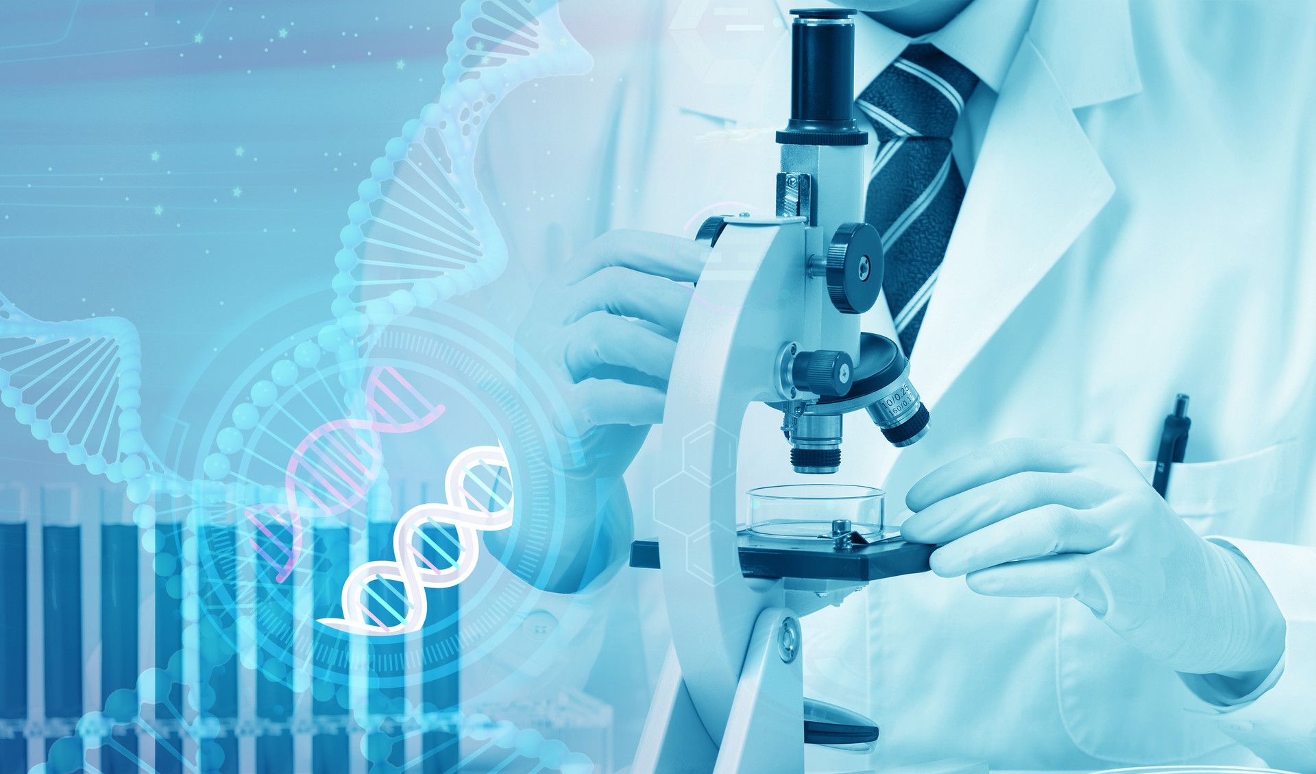 新研究推翻“胸腺无用”论