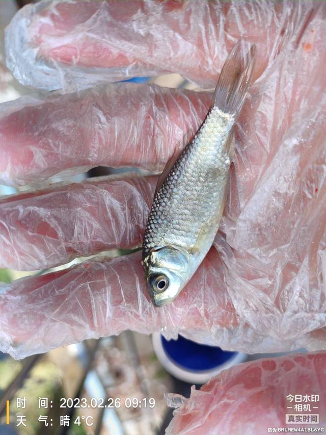 空军|虽未空军,但比空军郁闷,爱护资源,人人有责!