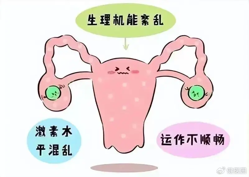 节食减肥可能导致卵巢早衰!