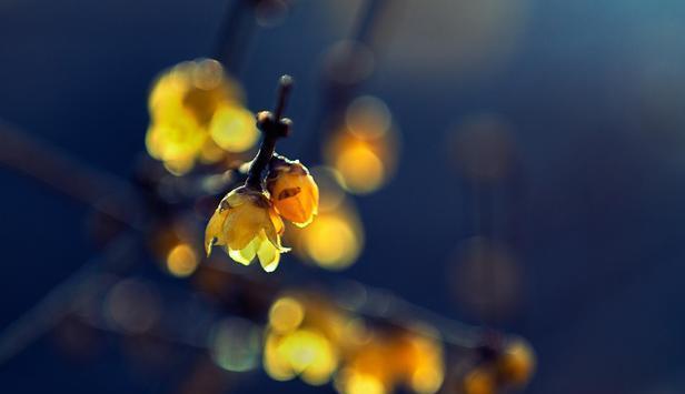 老人的告诫:做人,不要在三件事上卑微,不然会被人瞧不起,懂了