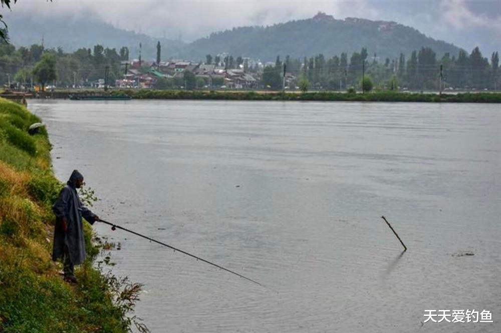|夏季野钓,一定要钓深水吗?这样找钓位,深浅都上鱼