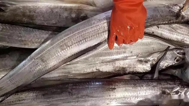 黄花鱼|过年买鱼时，尽量挑这6种鱼买，便宜又好吃，别被鱼贩子给骗了