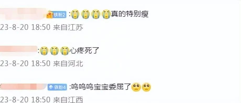 小燕子偷偷复出了?