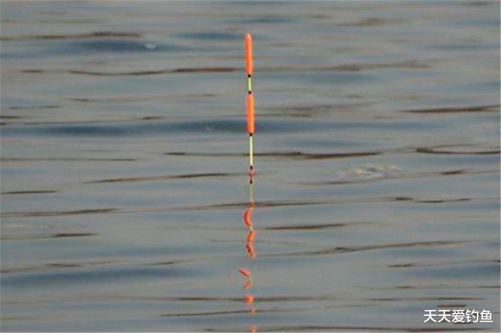 浮漂|夏季钓水库，最好用的2种调漂方法，适合各种鱼情