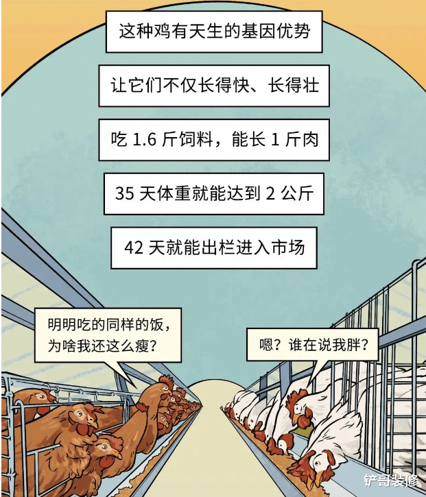 绿豆汤|1超市熟食区18.9元一只的烤鸡，能吃吗？听听超市员工怎么说……