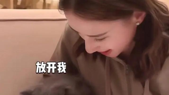 何超莲|何超莲窦骁婚房度蜜月，珍贵玉器随意摆，4只小猫价值近200万