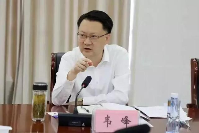 莱昂纳多·迪卡普里奥|小戴老公心太狠,故意把韦副市长说成张副市长,事情才得以曝光!