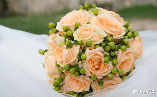 |小孩的6岁，是连狗都嫌的年纪