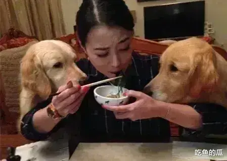 周海媚童年时期信息曝光，跟大弟弟差12岁，做辅食照顾弟弟，妈妈打牌