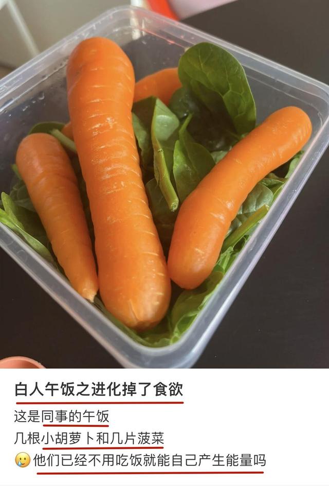 水果|“白人饭”火到外网!中国网友热议各国午餐,老外羡慕中餐好吃